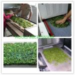 Drying Equipment Industrial Microwave Dryer