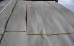 Chinese Birch Wood Veneer Sheet
