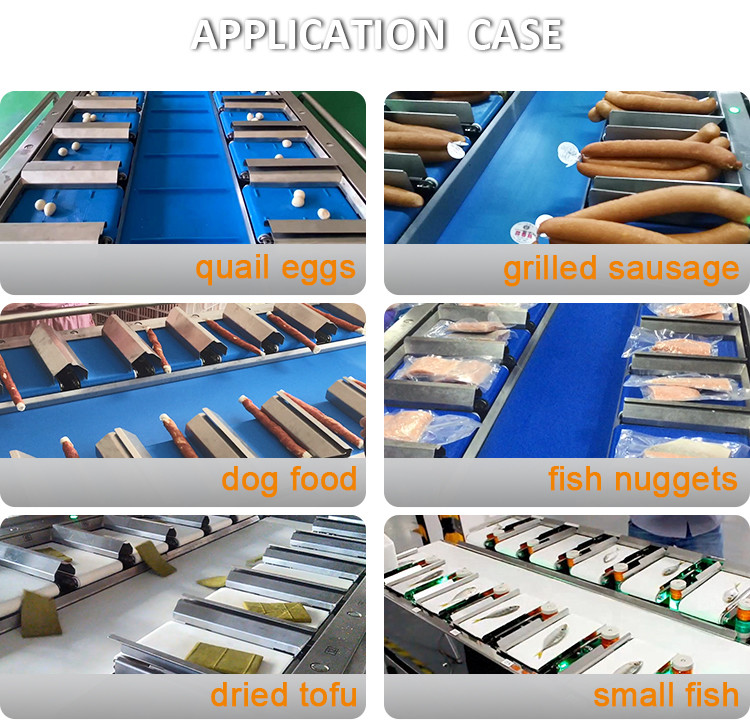12 Belt 160 Combination Weigher For Fruit Vegetable Aquatic Products