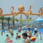 Spray Sea horse, Spray Park Equipment, Aqua Play Water Game Equipments for Water