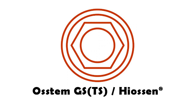 Osstem GS(TS)® UCLA All-Plastic Castable GoldCast Abutment Compatible Mini / Regular