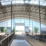 Customized Prefabricated Farm Buildings Easy Install Large Span Steel Buildings