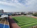 9000 Dtex Artificial Lawn Grass Landscaping 20mm Plastic Carpet Decorative