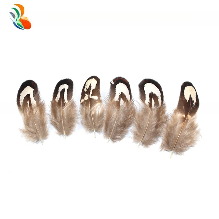 4-6cm Size Pattern Dyed Natural Pheasant Feather With Wire Accessory