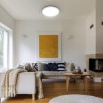24w Tuya Smart Ceiling Light Colorful Rgb Remote Control Smart Light Led Modern