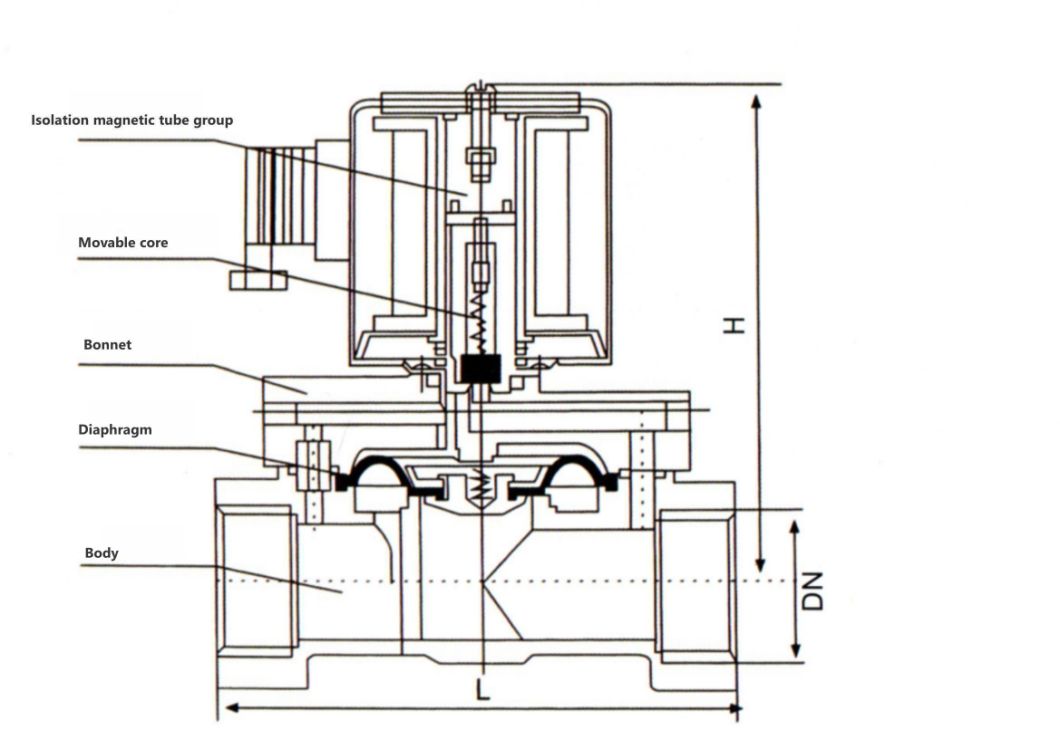 2W250 Stainless Steel Female Thread Solenoid Valve