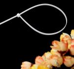 Nylon Cable Tie 4 Series Self Locking Cable Tie Plastic cable tie Cable Tie