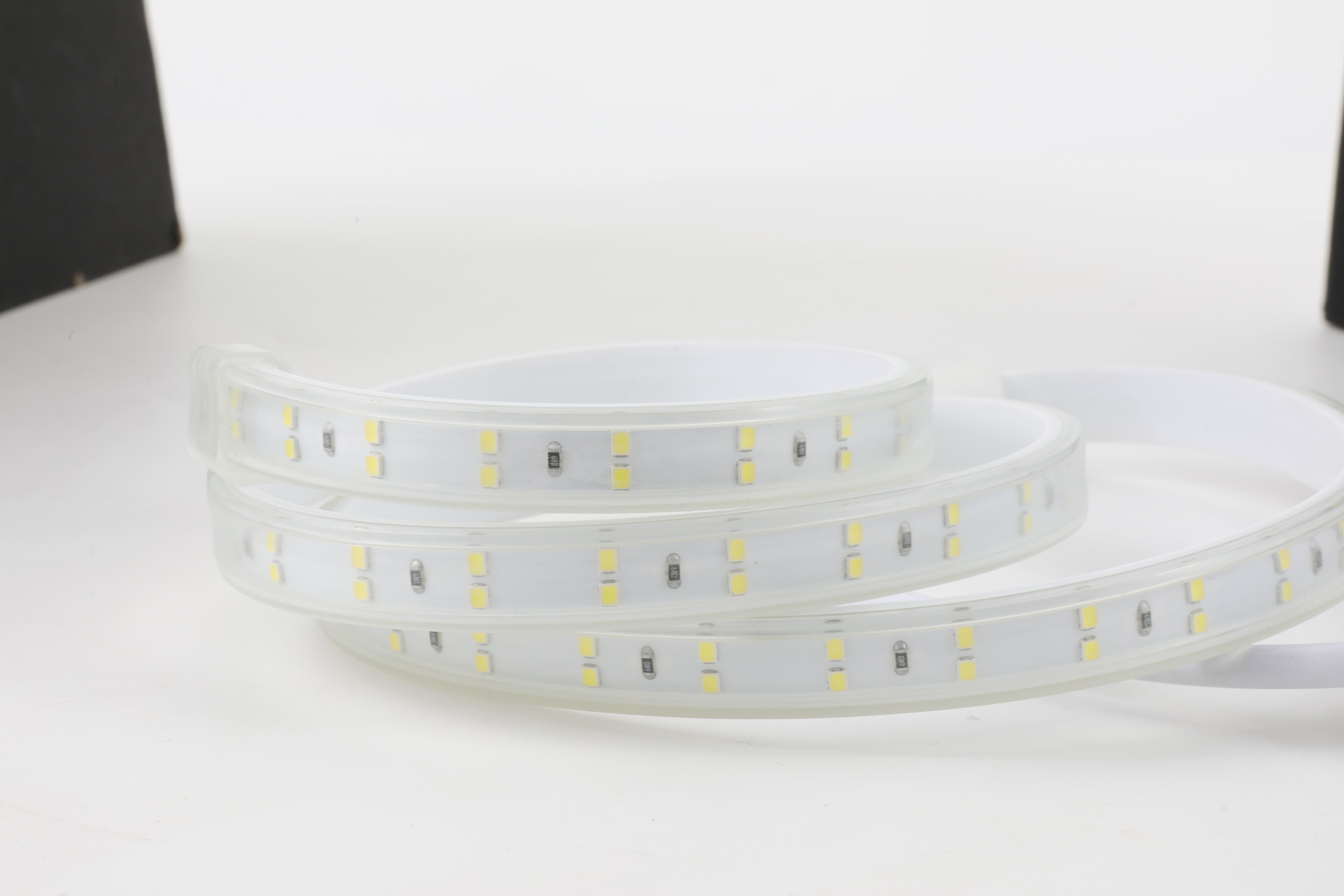 220V IP67 SMD 2835 High Voltage LED Strip 120 LEDs/M 2 Rows 9W/M