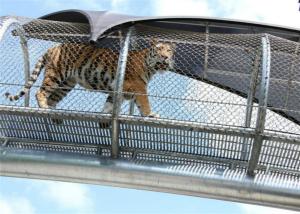 Quality Wire Rope Zoo Wire Mesh , Stainless Steel Animal Enclosure Netting CE Listed wholesale