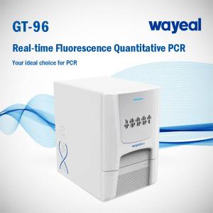 China Wayeal 96 Wells 5 Channels PCR Analyzer For Gene Test on sale
