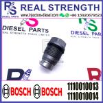 BOSCH Control Valve relief valve 1110010013 1110010014 1110010026 1110010027