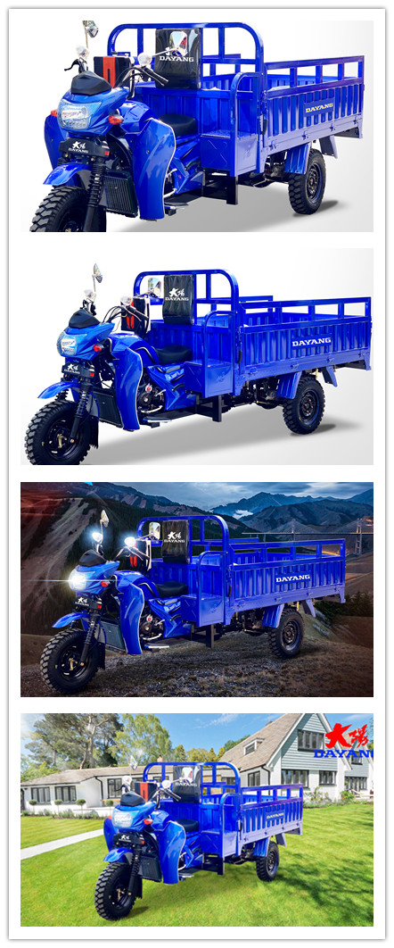300cc Petrol Gasoline Motorized Cargo Tricycles 3wheels Motorcycle Customized 5.00-12