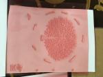 Photopolymer High Speed Flexo Printing Plate 1.7mm Nylon Resin