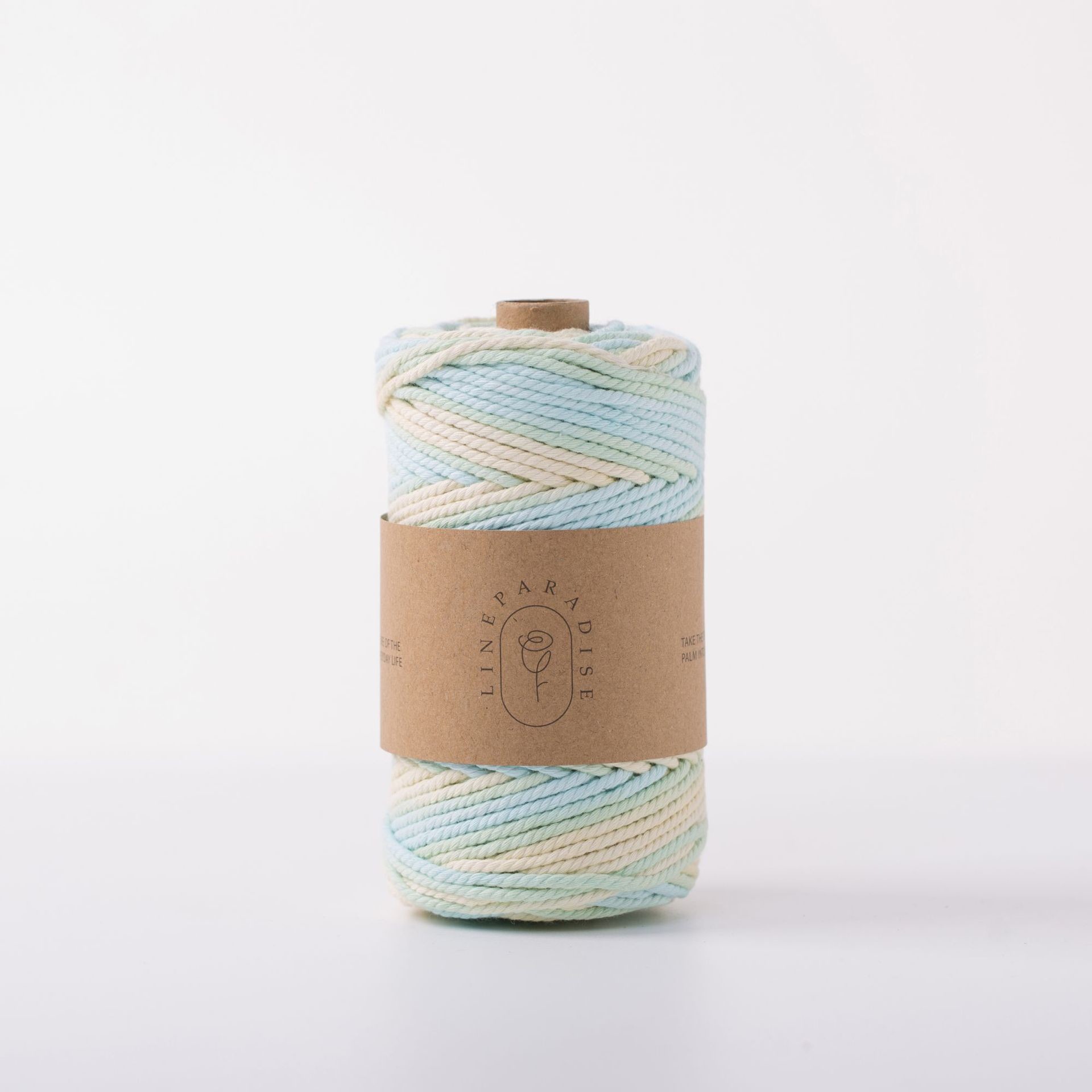 ISO9001 Solid Braid Cotton Rope Colorful 3mm Twisted Macrame Cord