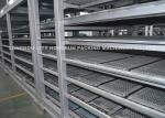 Automatic Paper Pulp Egg Carton Machine / Egg Tray Production Line