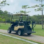2 Passenger Electric Golf Cart 48V Lithium Battery