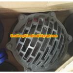 Seal ring PTFE grey iron flanged foot valve made in China