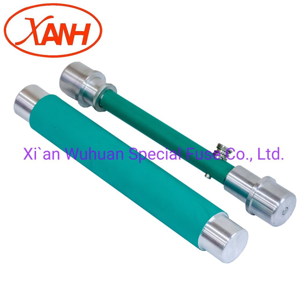 Oil-Immersed High Voltage Limit Current Backup Bay-O-Net Fuse Elsp Fuse Cbuc23065c100m