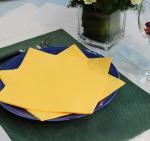 ODM Personalized 2Ply Cocktail Color Paper Napkin Absorbent