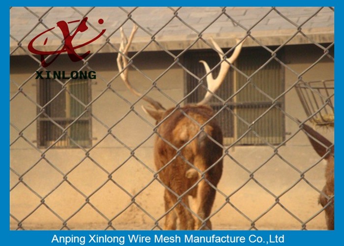 40 * 40mm Dark Green Chain Link Mesh Fence for Farm and Forest Protecting