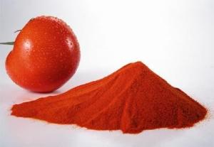 Quality Spray Dried Organic Tomatoes Powder wholesale