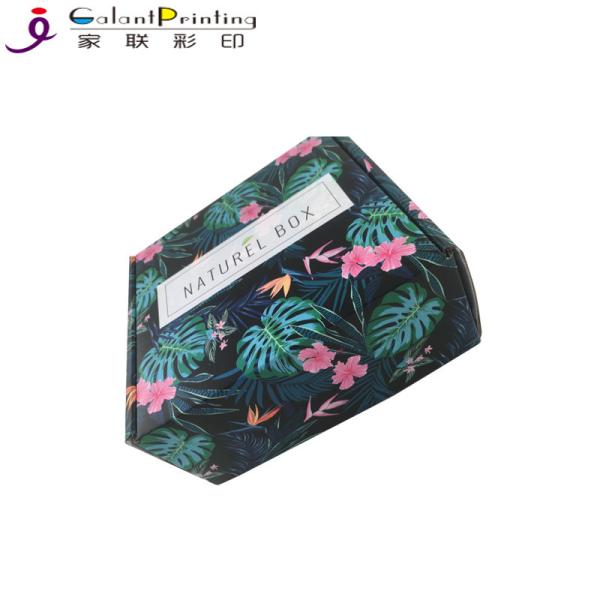 C1S Paper Printing Services Roll End Tuck Top Paper Tab Lock Kraft Cardboard