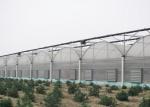 Anti Wind Climate Control Lettuces Multi Tunnel Greenhouse