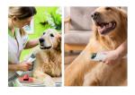 3.9kg Grooming Tools Pet Grooming Vacuum Kit Cleaning Trimmer Clipper Vacuum