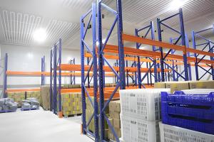 Quality Microcomputer Controlled Frozen Cold Storage For Food Preservation wholesale