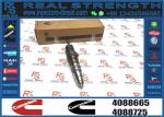 Fuel Injector Assembly 4062569 4928260 4088665 4088725 4954888