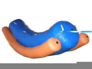 Quality Anti-UV Blue And Orange Inflatable Totter Toy For Water Games In Aquatic Parks wholesale