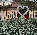 Stainless Steel Will You Marry Me Sign Neon Sign Decoration Wedding Marquee