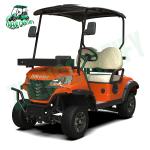 Chameleon Golf Cart - Lower Chassis 2 Seats