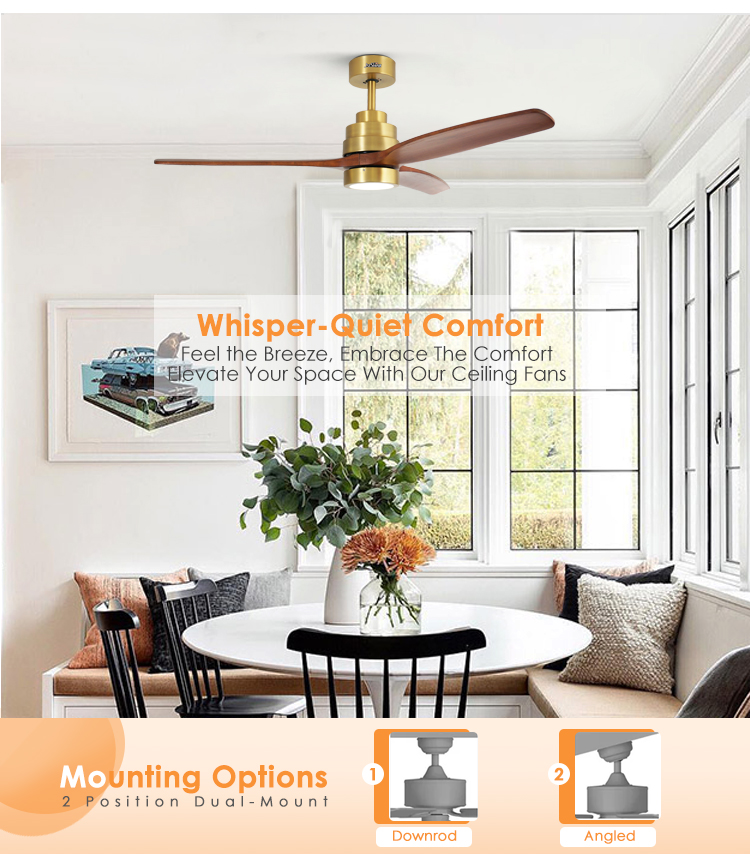 ceiling fan