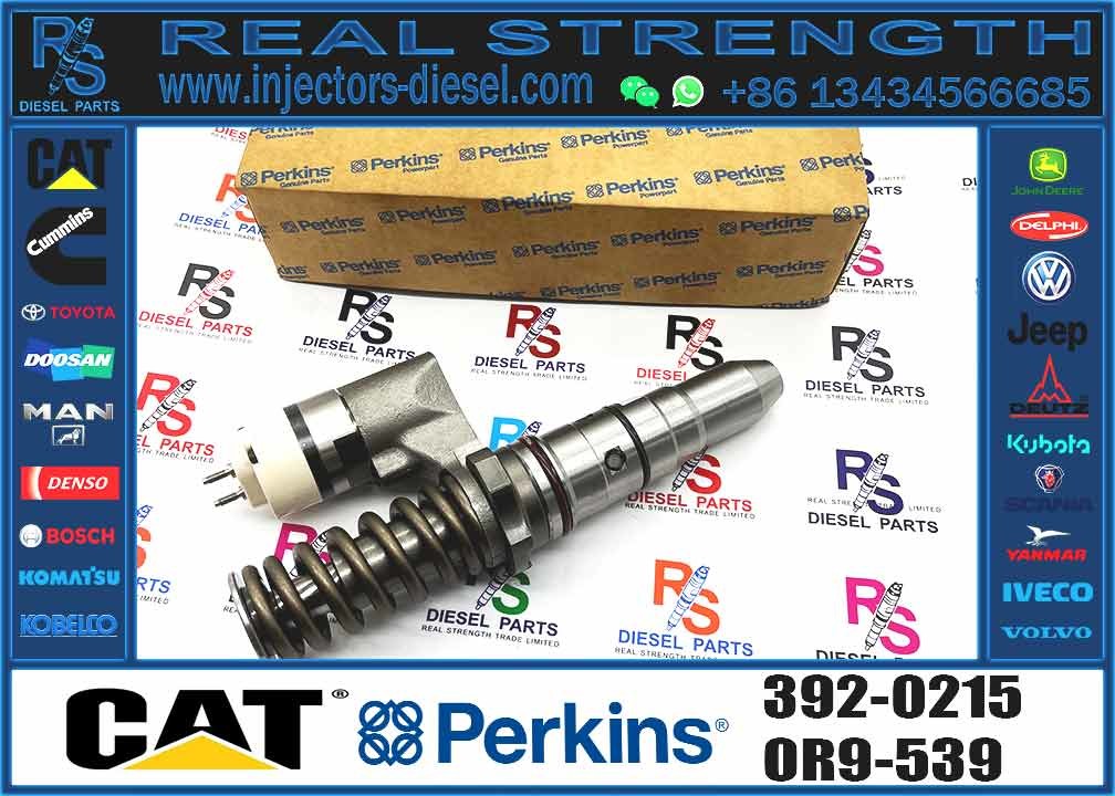 Excavator Parts 3116 Engine Injector 0R-8483 0R-3002 0R-8477 0R-3190 0R-8473 4P-2995 Fuel Injector For Excavator