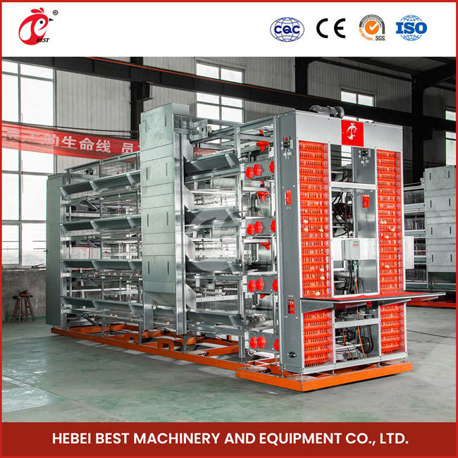 3/4/5/6 Tiers Automatic Chicken Battery Cage Equipment H Type For Layers Farm Emily