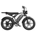 R002 20''*4.0 1500W Full Suspension Moped-style Electric Bike Europe Warehouse