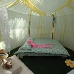 Outdoor Clamping Cheap Geodesic Dome House Yoga Dome Tent Sporting Event Dome