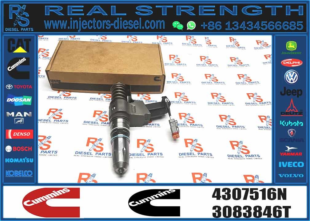 Fuel Injector 4307516N 3411767T 3407776 3087807 341176