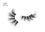 Fashioned Fan Shaped 27MM Natural Wispy False Lashes