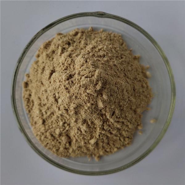 Cheap wholesale antioxidants softgel capsules graviola extract with best price for sale