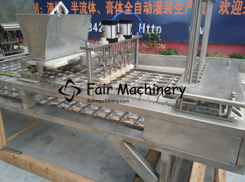 8KW SS316 Cup Filling Sealing Machine 6 Cups For Granule 5400B/H