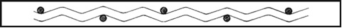 Stability consistency and smooth crimped wire mesh(Trade Assurance)