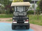White LED Termite Golf Cart Buggies 3.5KW Motor Color Customization