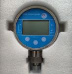 Radial Direction Mounting High Precision 0.5% FS Digital Water Pressure Gauge