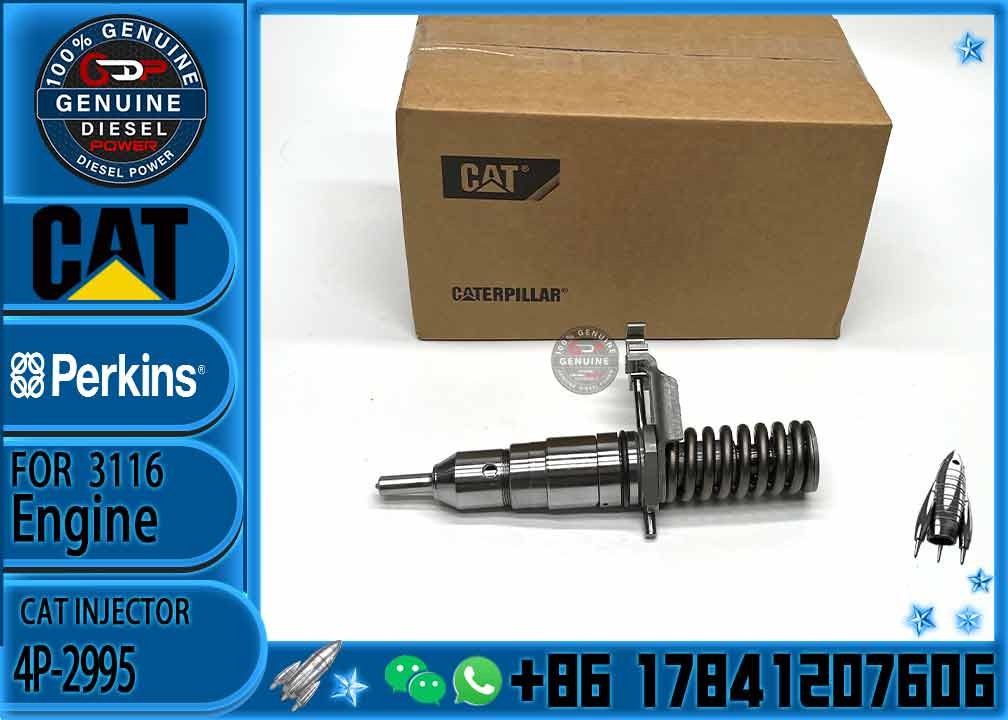 3116 Engine Fuel Injector 4P-2995 162-0212 162-0218 418-8820 0R-8461 0R-8469 0R-8465