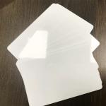 Plastic Blank Tag PVC Recycle Blank White Hang Tag