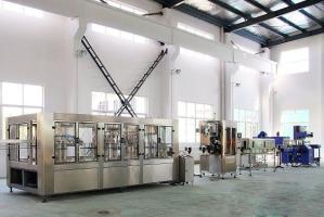 China Bottle Rinsing SUS304 Automatic Water Filling Machine on sale