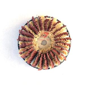 Quality Polished Industrial Roller Brush for Furniture Sisal Sandpaper wholesale