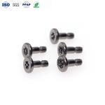 Custom Anti Theft Screws Carbon Steel Black Nickel Flat Head Screw With Post